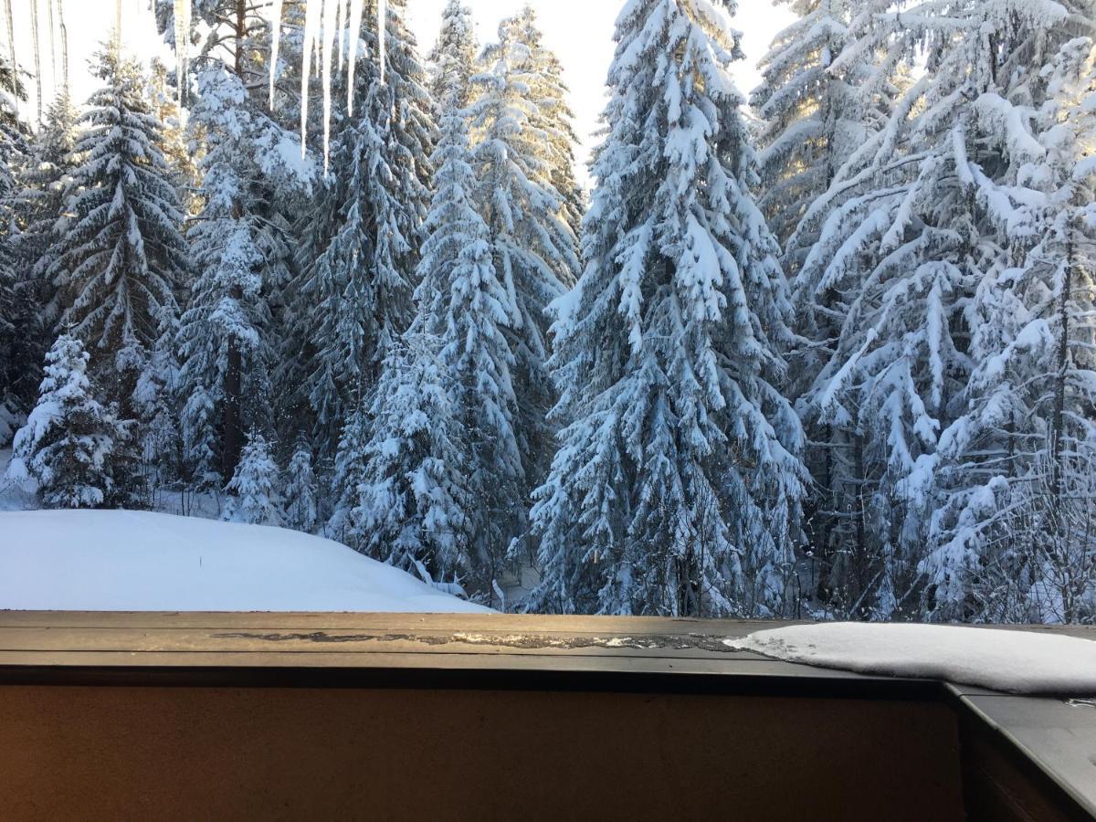 Borovets Chalets Eksteriør billede