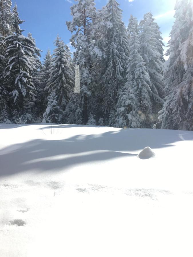 Borovets Chalets Eksteriør billede